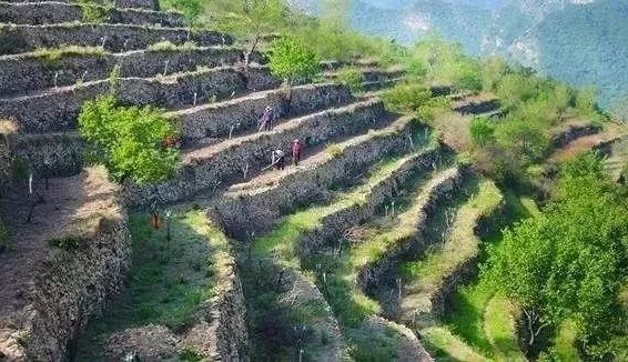 智能车管家都有什么功能_车载智能管家_智能车管家