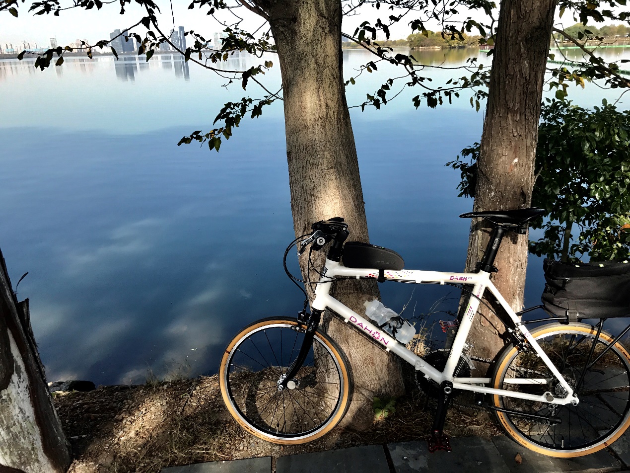 大行kac061多少钱_大行折叠车SP18/KAC083_大行折叠车KAA061