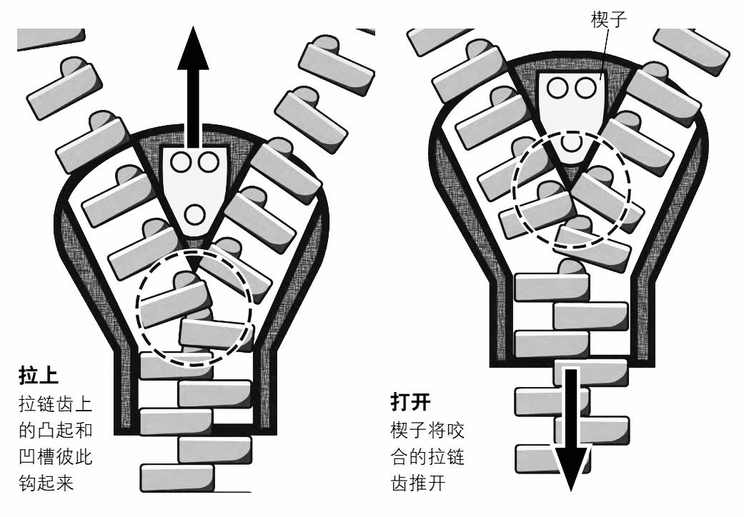 拉链发明历史_拉链结构原理_zipper双工