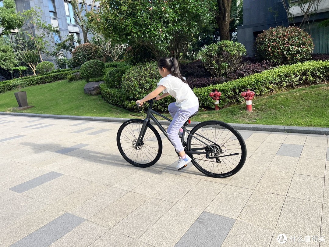 闲鱼捡漏捷安特自行车_捷安特Alight1自行车闲鱼购买_电动车捷安特价格