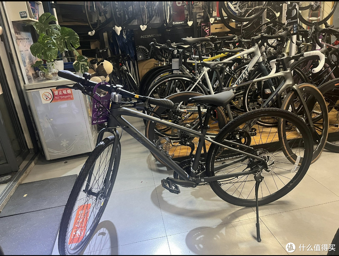 捷安特Alight1自行车闲鱼购买_闲鱼捡漏捷安特自行车_电动车捷安特价格