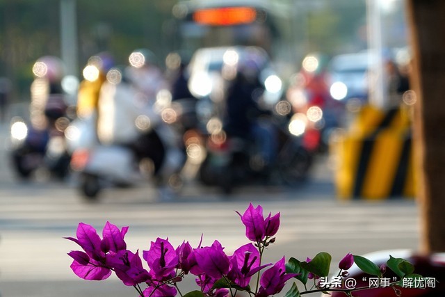 mavic air 全景_DJI Mini 5 Pro 249克一英寸传感器 便携航拍旗舰