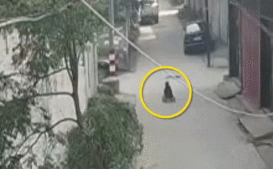 平衡车安全隐患分析_智能电动平衡车_电动平衡车上路规定