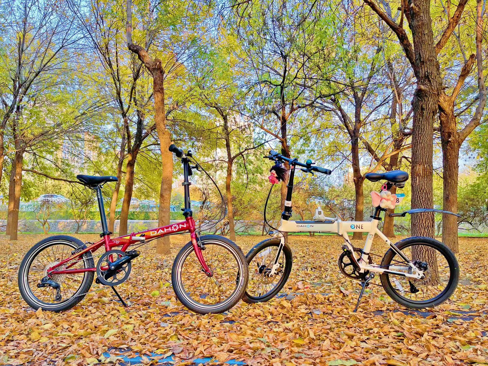 大行kac083价格_大行折叠车 K-one P8 40th纪念版