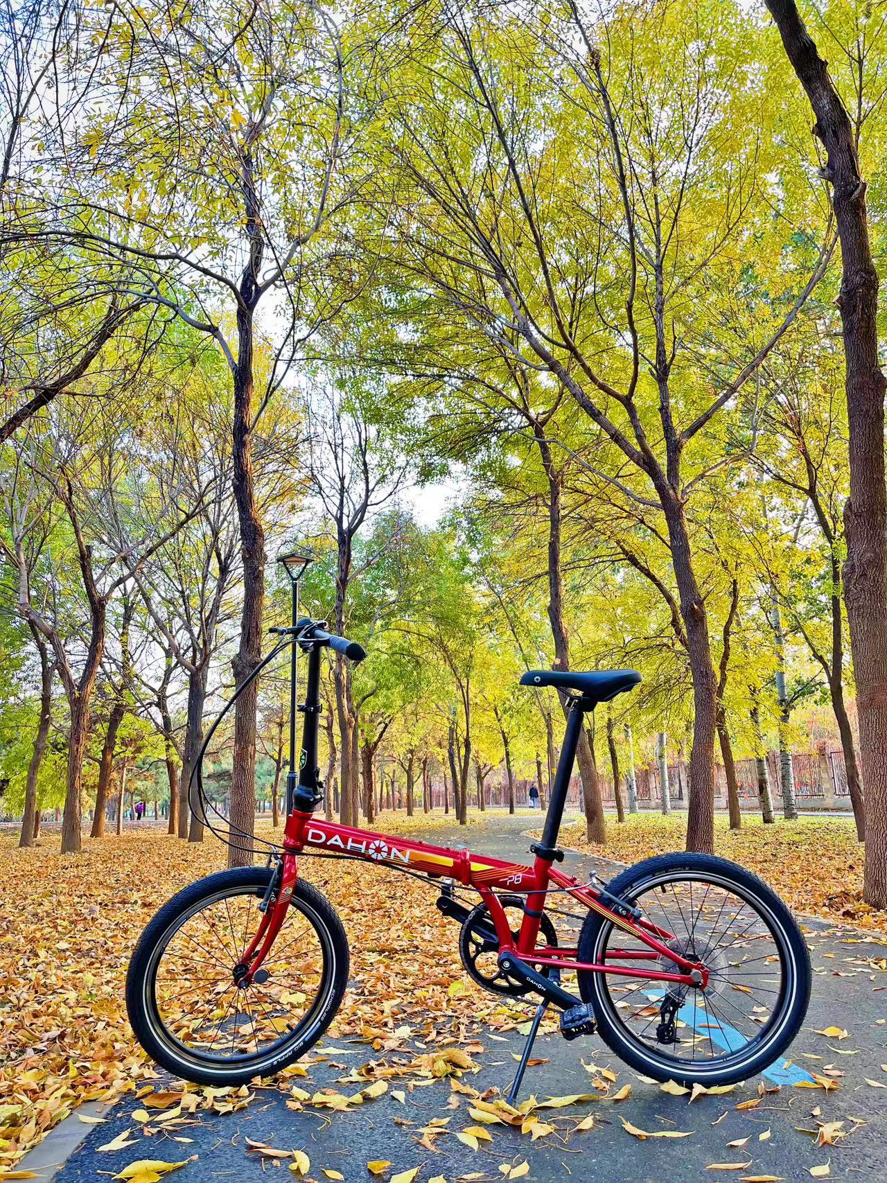 大行折叠车 K-one P8 40th纪念版_大行kac083价格