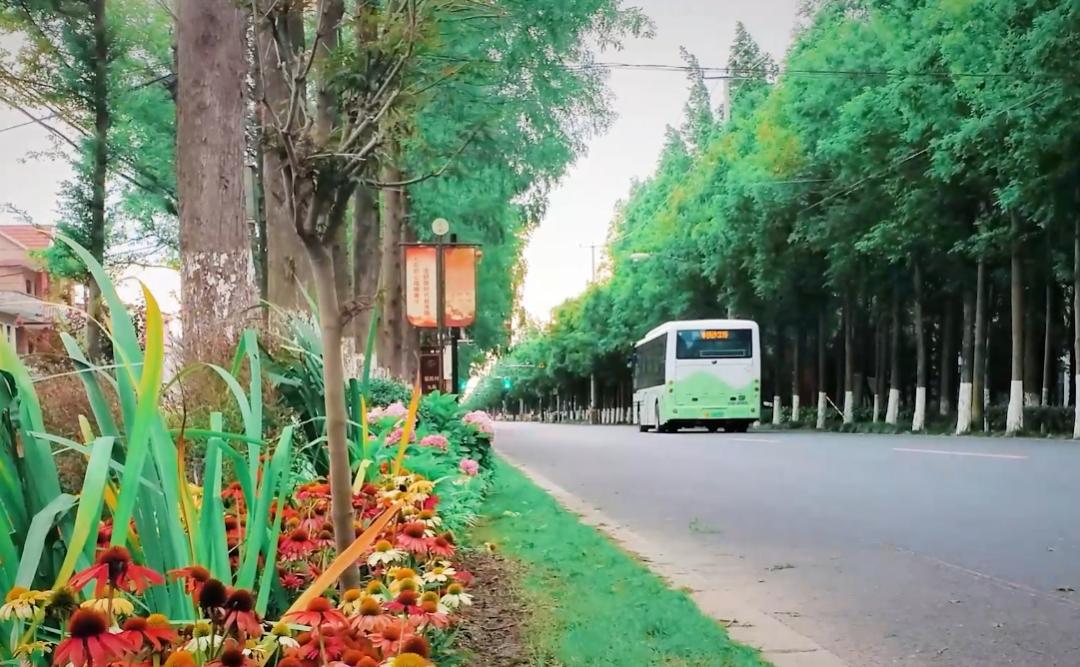 上海公路自行车店_上海浦东滨江骑行路线_上海松江欢乐骑行线