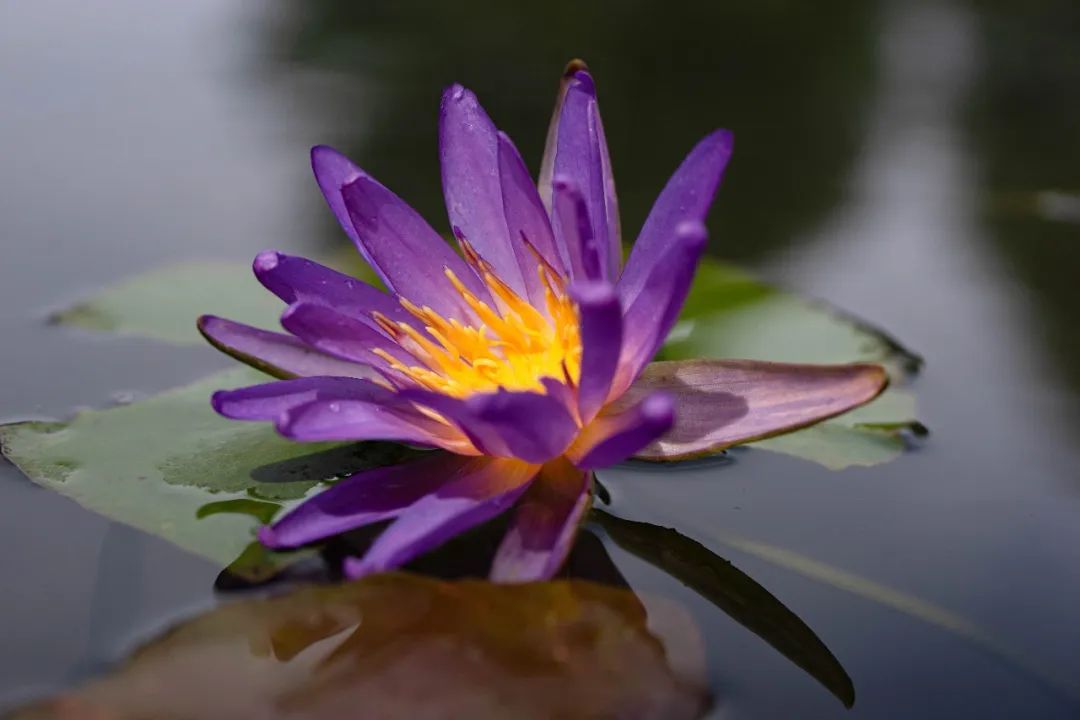 上海公路自行车店_上海浦东滨江骑行路线_上海松江欢乐骑行线