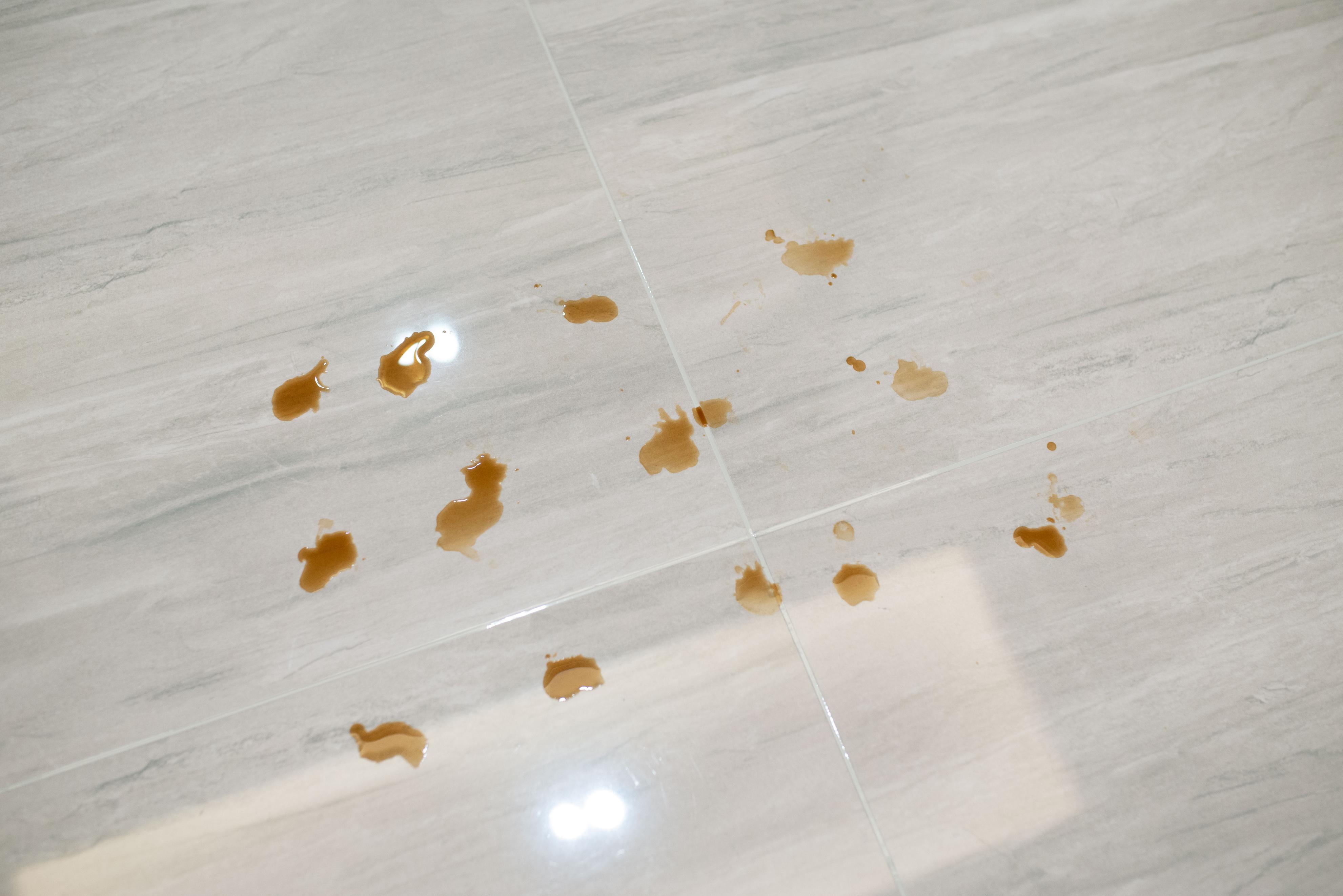 云鲸J3智能扫地机器人评测_智能扫地机器人 车电动扭_云鲸J3扫拖一体机器人