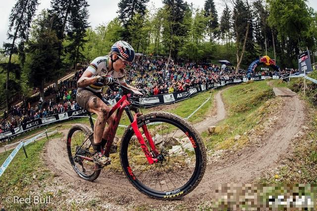 暗网下载 年终总结：一克值千金！超轻XC硬尾山地车盘点