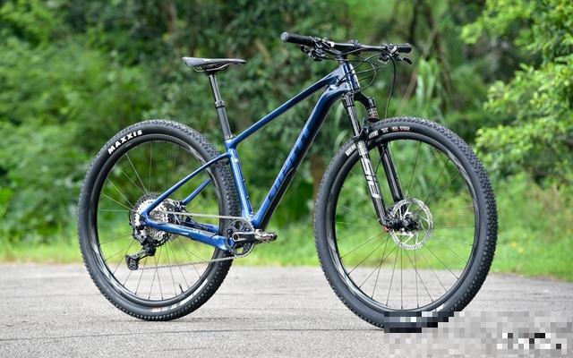 Canyon Exceed Hardtail车架重量_xcr前叉重量_超轻XC硬尾车架