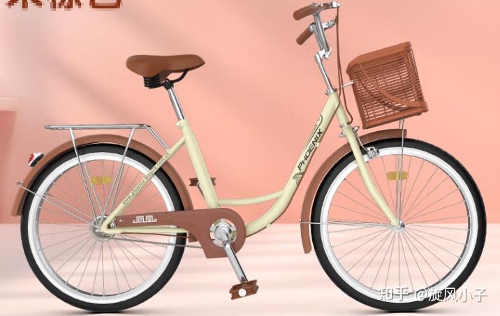 自行车品牌排行榜前十名_自行车哪个牌子耐用质量好_自行车前叉锁死