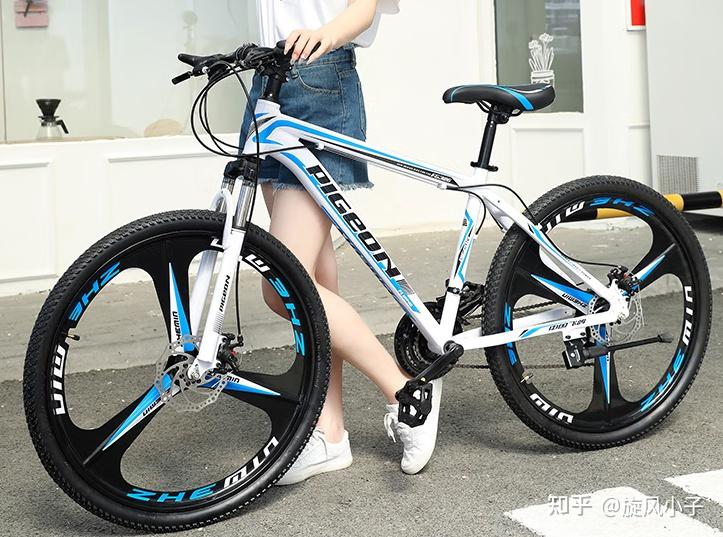 自行车哪个牌子耐用质量好_自行车塔基种类_自行车品牌排行榜前十名