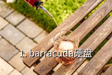 暗网下载 barracuda硬盘(barracuda硬盘是什么盘)