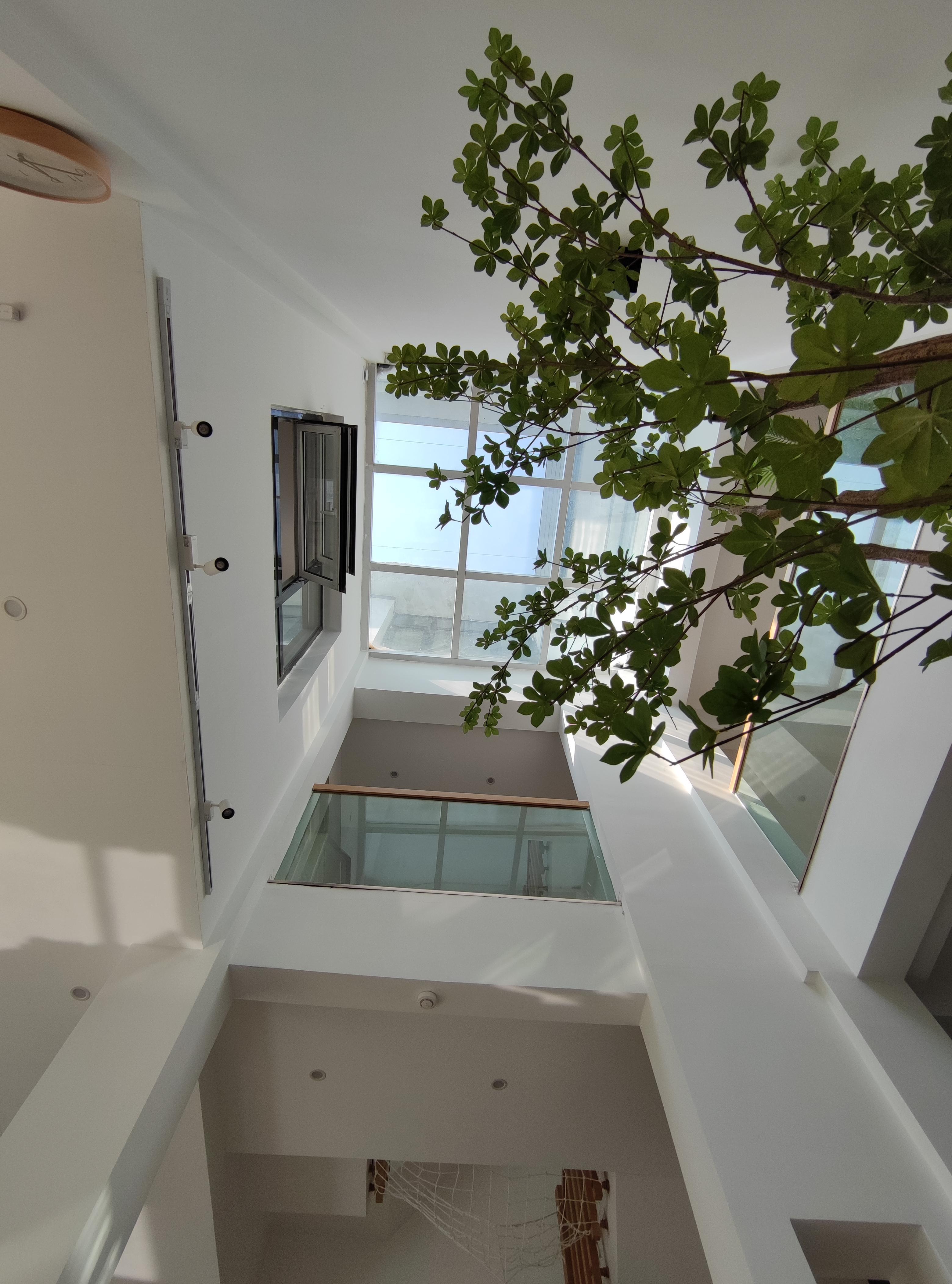 别墅案例分析报告ppt_联排别墅与大平层优缺点对比_别墅院子维护与种植经验分享