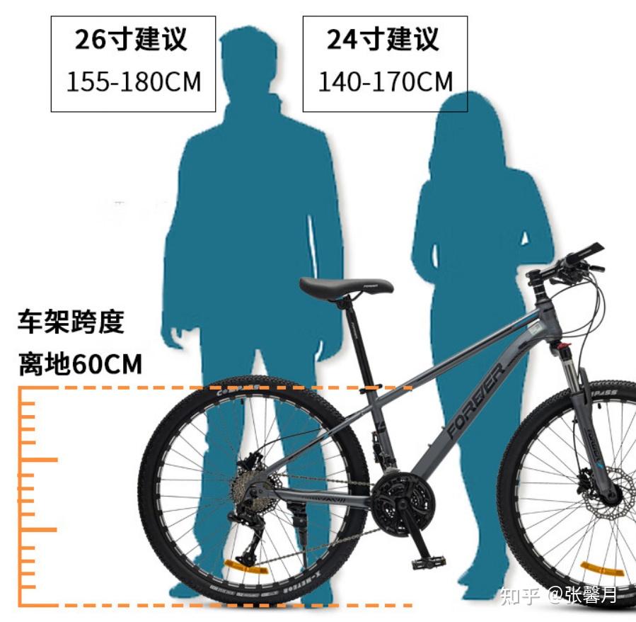 永久公路车型号推荐_山地车运动的好处_永久公路车选购指南