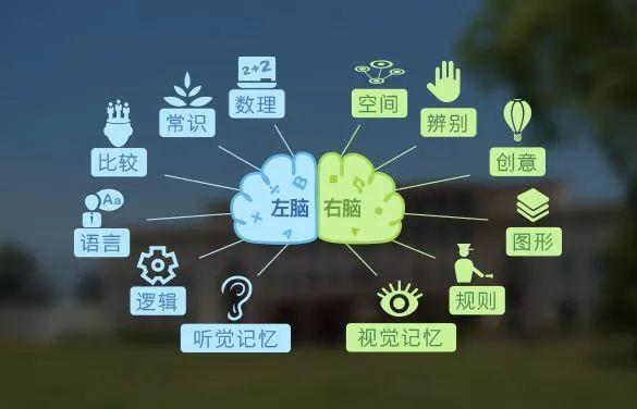 左撇子智商研究_左撇子成因研究_左撇子山地车