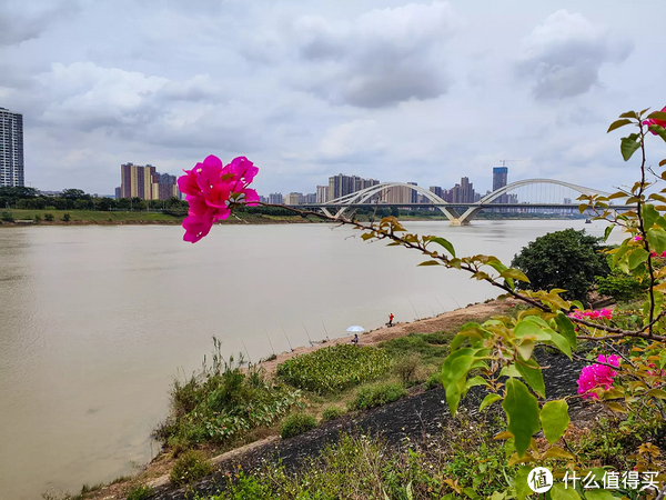 xc自行车_618自行车减配涨价_二手自行车选购坑