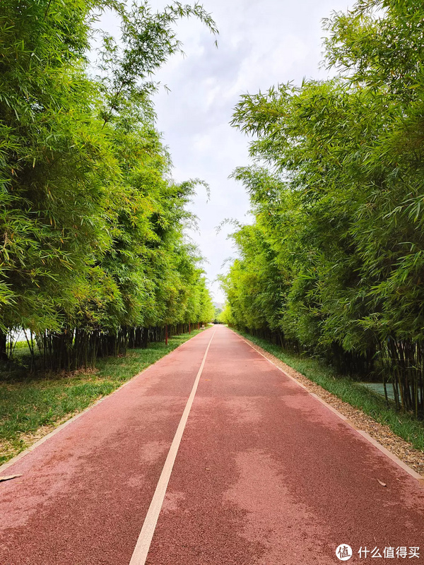 xc自行车_二手自行车选购坑_618自行车减配涨价