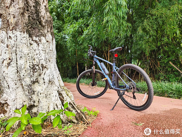 618自行车减配涨价_二手自行车选购坑_xc自行车