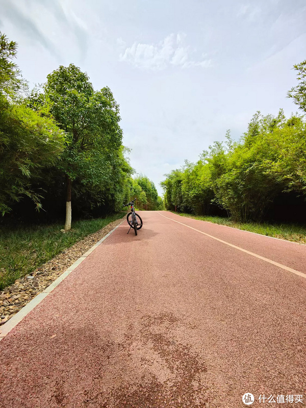 二手自行车选购坑_xc自行车_618自行车减配涨价