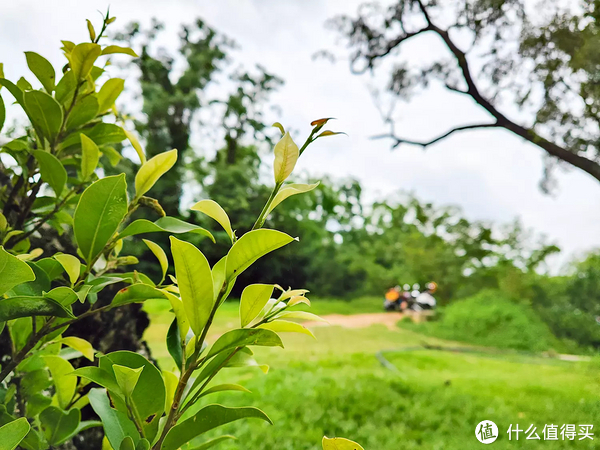 二手自行车选购坑_618自行车减配涨价_xc自行车